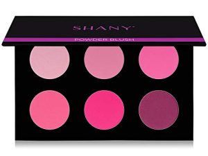 لوحة أحمر الخدود SHANY Shimmer & Matte Cool-Toned - الطبقة 5 - إعادة الملء لمجموعة مكياج Mini Masterpiece Collection المكونة من 6 طبقات